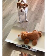 Greater Goods Smart Pet Scale Animals Babies Portable Up To 44 Lbs FREE SHIPPING