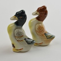 Ceramic Duck Salt &amp; Pepper Shakers Souvenir of Seven Falls Colorado Japan Decor - £7.76 GBP