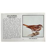 Fox Sparrow Bird Print 1931 Blue Book Birds Of America Antique Art PCBG13C - €8,58 EUR