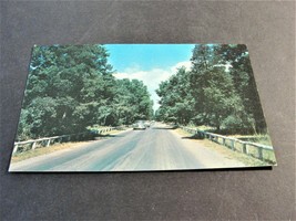 The Drive, Point Pelee National Park, Ontario - Canada-Unposted Postcard. - £5.11 GBP