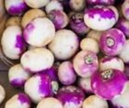 Purple Top Turnips Seeds Organic Non Gmo Vegetable Seed Heirloom 10 Seeds  - £8.58 GBP