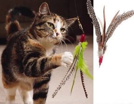 GO CAT DA BIRD FEATHER REFILL INTERACTIVE TOYS  1 COUNT - $9.89