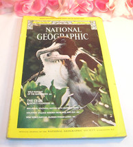 National Geographic Magazine May 1977 Vol 151  No 5 Europe Celts Mangroves - £6.20 GBP