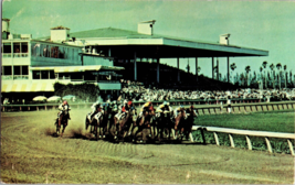 Vtg Postcard A Florida Scenic Card, Tropical Park Race Track, Miami, FL, PM 1979 - £4.68 GBP