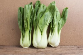 4000 Chinese White Stem Pak Choi Bok Choy Chinese Cabbage Seeds Nongmo  From US  - $8.35