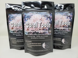 Coral Tooth Mushroom Growing Habitat Kit For Terrariums Grows For Years!! - £16.50 GBP