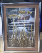 Wall Art Picture Diorama 3D Dried Flower Shadow Box  Michael Woods - Tol... - $23.76