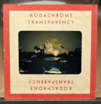 Red Border Kodachrome Transparency Slide 1950s Table Flower Display Swordfish - £1.74 GBP