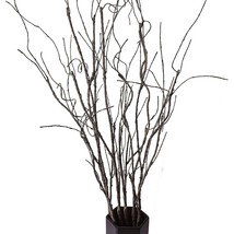 5Pcs Artificial Curly Willow Branches, Decorative Dry Twigs, 30.7 Inches Fake Be - £18.83 GBP