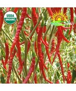 LKS Arbol Chile Pepper Seeds 30 Spicy Organic Home Garden - $12.33