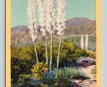 Quatre Soeurs Southwestern Yucca Plantes Unp Lin Carte Postale G16 - $3.02
