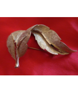  B.S.K. White/Gold Colored Pin/Brooch (#0489) - $23.23 CAD