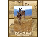 Olympic National Park Laser Engraved Wood Picture Frame Portrait (3 x 5) - £20.71 GBP