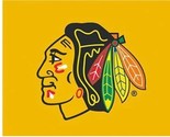 Chicago Blackhawks Champions Vertical US Flag 3X5Ft Polyester Digital Pr... - $20.00