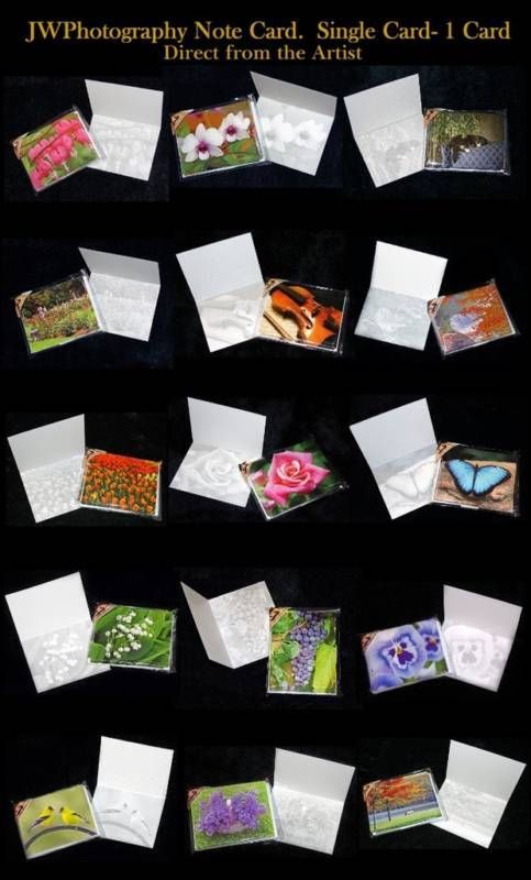 Assorted Styles Single Blank Note Card Stationery qty1 - $0.99
