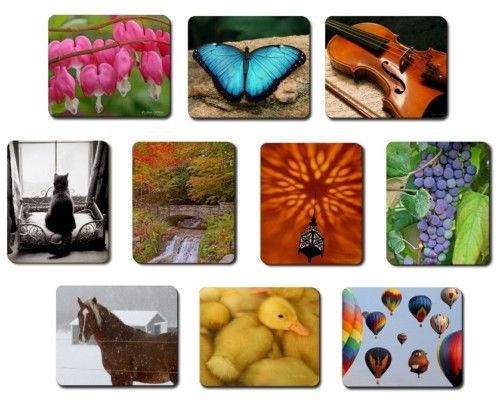 Assorted Colorful Fine Art Photo Mouse Pads Variety - $11.49