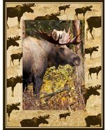 Moose Scatter Laser Engraved Wood Picture Frame Portrait (5 x 7) - $31.99