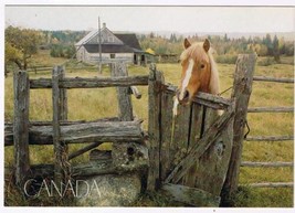Canada Postcard Laurel Quebec Horse Farm House Larger Card - £1.69 GBP