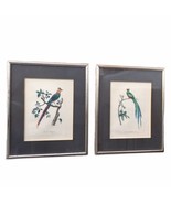 Pair Of Chelsea House Vintage Framed Barraband Art Prints Birds Nature 2... - £220.59 GBP