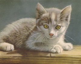 Sweet Gray &amp; White Kitten With Green Eyes Vintage Postcard - £6.32 GBP