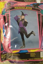 California Costumes Childs Large Polyester Jester - $17.50