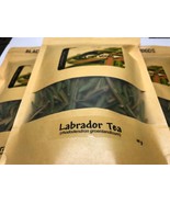Dried Labrador Tea 28 g (rhododendron groenlandicum) - Handpicked  - £6.29 GBP