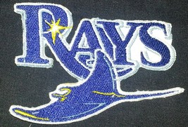 Tampa Bay Devil Rays Logo Iron On Patch                                      - $5.99