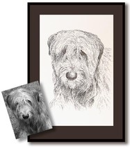 Original dog or animal drawing by Stephen Kline - Drawn only with the pe... - £599.51 GBP