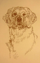 GOLDEN RETRIEVER DOG ART PORTRAIT #237 Kline adds your dogs name free. GIFT - £39.28 GBP