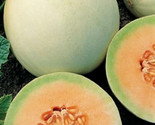 Honeydew  Seeds 50 Orange Flesh Cantaloupe Garden Melon Fruit Fast Shipping - $8.99