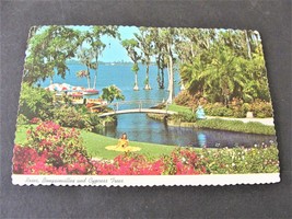 Roses, Bougainvillea and Cypress Trees, Florida - 1976 Postmarked Postcard. - £7.09 GBP