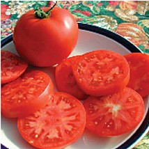 Legend Tomato Seeds Gardening Easy Grow Usa Shipping - £4.51 GBP