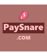 PaySnare .com / Domains For Sale / Business Brand, Website Name / Namesilo - $23.76