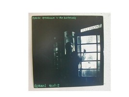 Robyn Hitchcock Poster Flat 12x12 Robin - $8.96