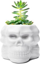 Berry President Skull Flower Pot, Ceramic Skull Capita Planter, Succulent, White - £20.01 GBP