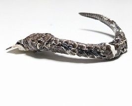 Natural Cobra Snake Tail Rattle Décor Craft Supply  1x7.5&quot; - $9.89