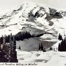 RPPC Mount Rainier And Paradise Valley Ellis 1920s Washington Pacific NW PCBG6C - £23.97 GBP