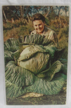 44lb Alaska Cabbage Postcard McLain Photo Shop Anchorage Plastichrome Alaska Joe - £2.32 GBP