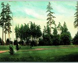 Landscape View Woodland Park Seattle WA 1917 Rhodes Bros 5 &amp; Dime DB Pos... - $11.83