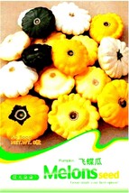 Mix Scalloped Patty Pan Ufo Squash Seeds 8 Seeds Interest Vegetables B009 Fresh  - $9.86