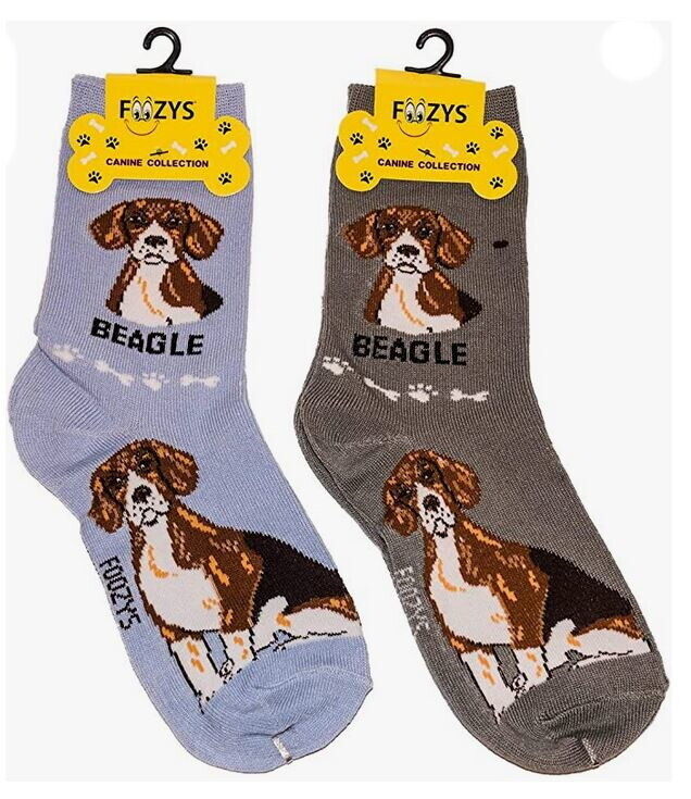 Primary image for Beagle Dog Socks Fun Novelty Dress Casual SOX Puppy Pet Foozys 2 Pair 9-11 Size