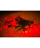 30 Red LED Lights Green Wire Party Christmas - $20.58 CAD
