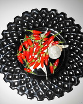 Siling Labuyo - RARE Filipino Chili Pepper Seeds - Free Shipping! - The exceedin - £7.85 GBP