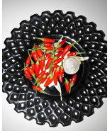 Siling Labuyo - RARE Filipino Chili Pepper Seeds - Free Shipping! - The exceedin - £7.88 GBP