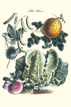 Vegetables; Melon, Lettuce, Green Beans, and Turnips by Philippe-Victoire Lev qu - £16.43 GBP+