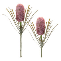 Protea Floral Stem (Set of 2) - $56.19