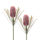 Protea Floral Stem (Set of 2) - $76.85 CAD
