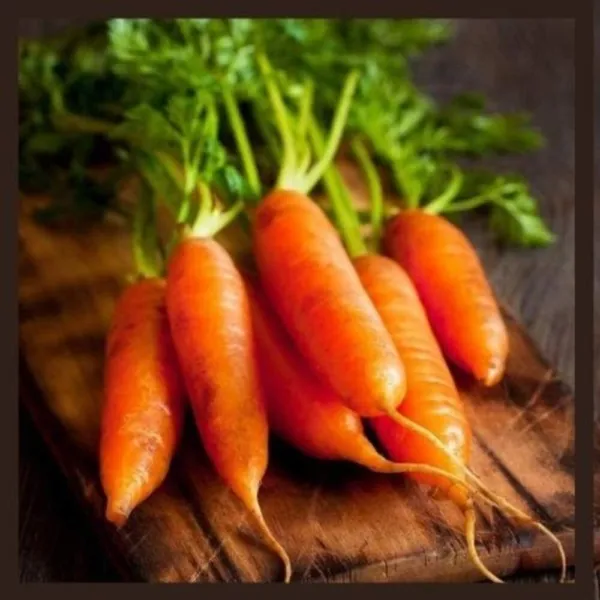 Fresh Little Finger Carrot Seeds Heirloom &amp; Non Gmo Carrot Seeds 250+ Vegetable  - £12.96 GBP