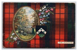 The Macnab Clan Tartan Raphael Tuck Scottish Clans UNP DB Postcard XB9 - £5.64 GBP