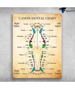 Canine Dental Chart Right Upper Left Upper Right Lower Left Lower - $15.99